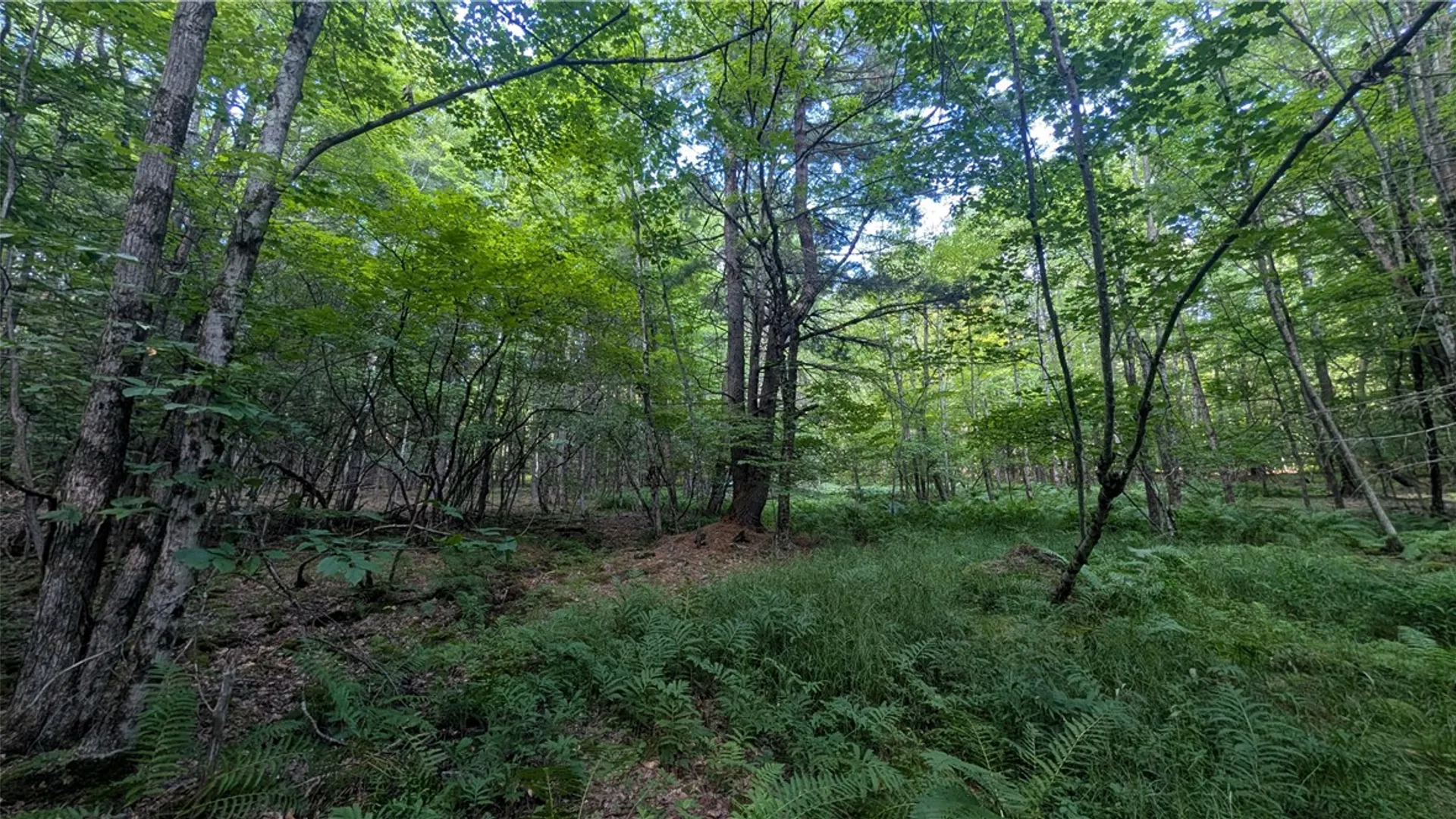 Property at 2072 Frank Slawson Road, Davenport, NY 13820 42