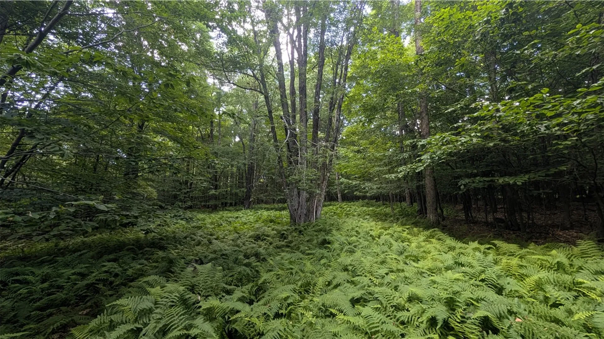 Property at 2072 Frank Slawson Road, Davenport, NY 13820 43