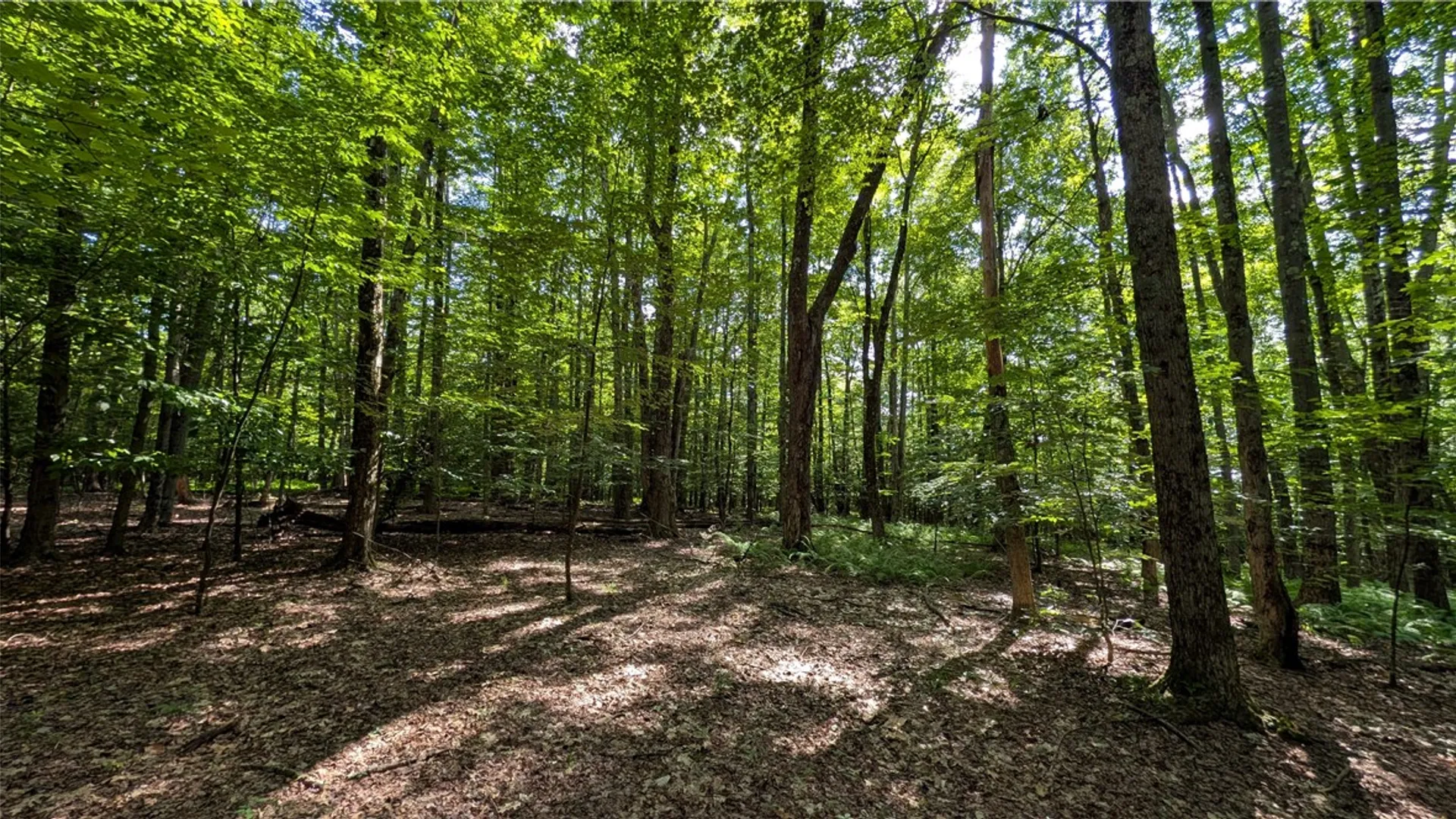 Property at 2072 Frank Slawson Road, Davenport, NY 13820 44