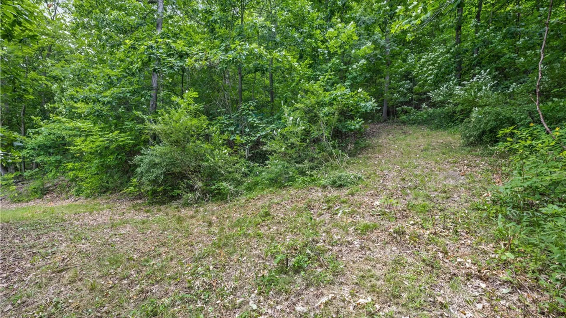 Property at Dug Road, Naples, NY 14512 5
