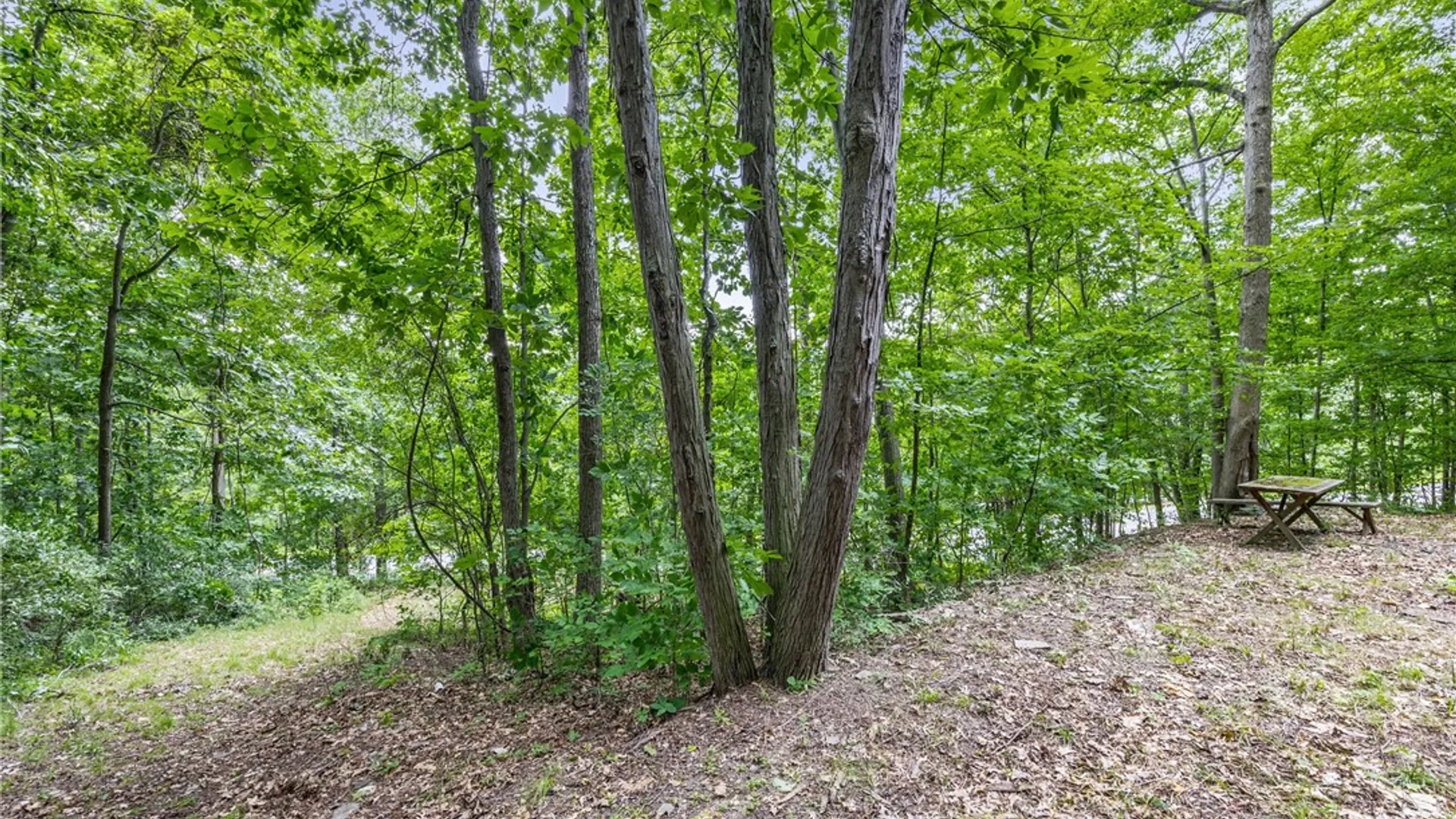 Property at Dug Road, Naples, NY 14512 8