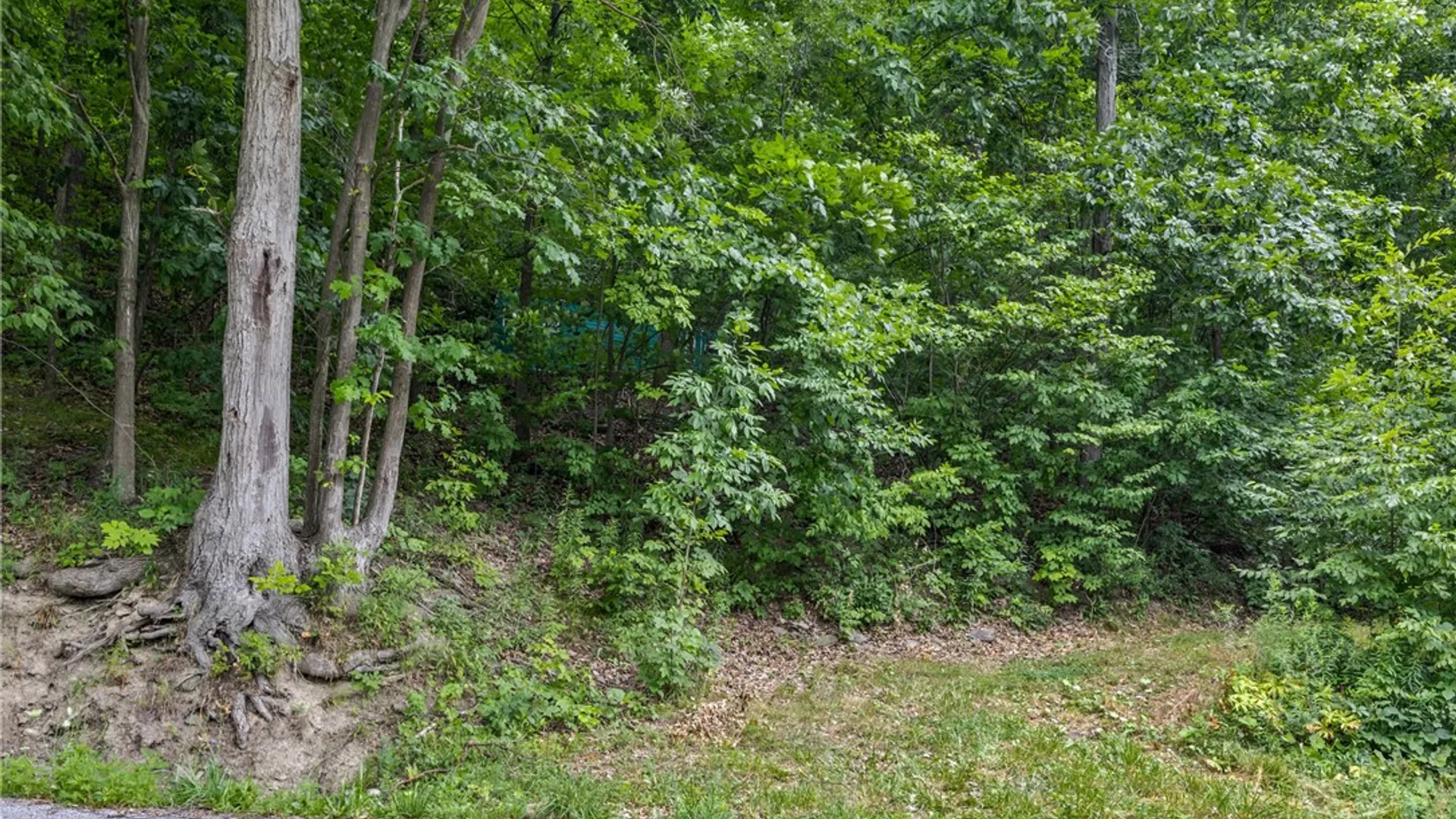 Property at Dug Road, Naples, NY 14512 2