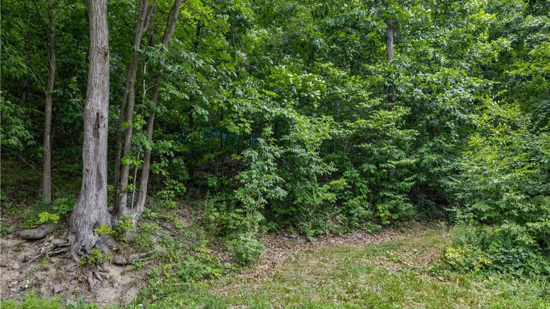 Property at Dug Road, Naples, NY 14512 3