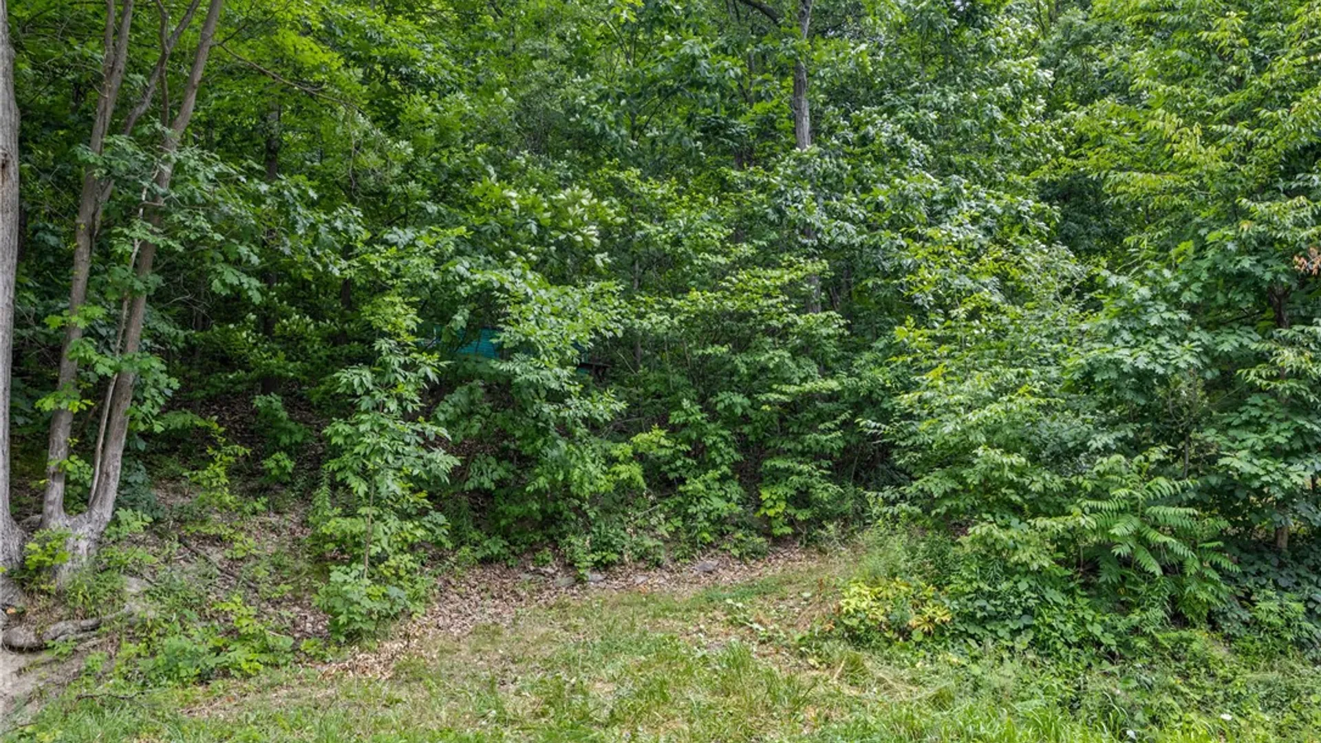 Property at Dug Road, Naples, NY 14512 4