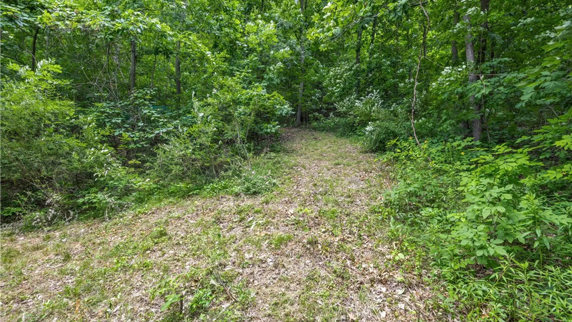Property at Dug Road, Naples, NY 14512 16