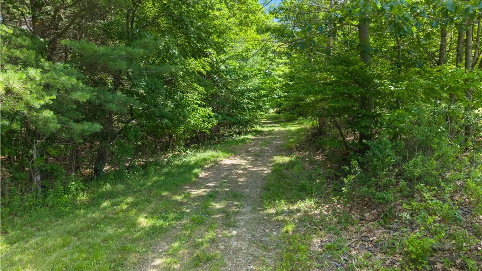 Property at 511 Willsie Road, Berne, NY 12059 9