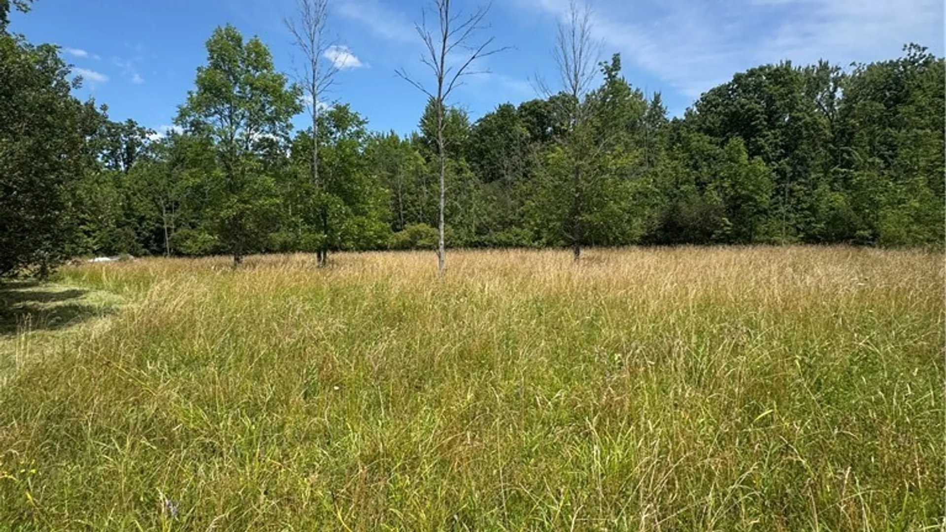 Property at 7753 Moyer Road, Royalton, NY 14094 10