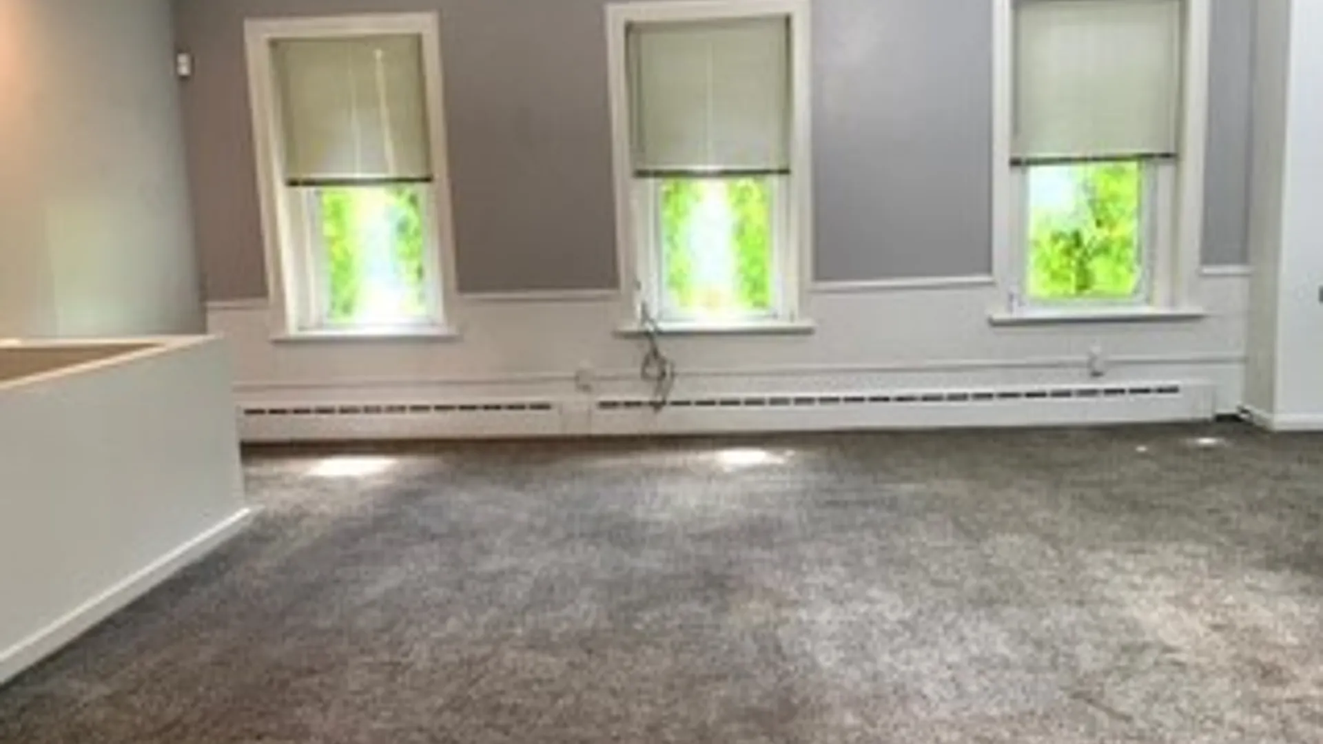 Property at 399 S Elmwood Avenue, Buffalo, NY 14201 13