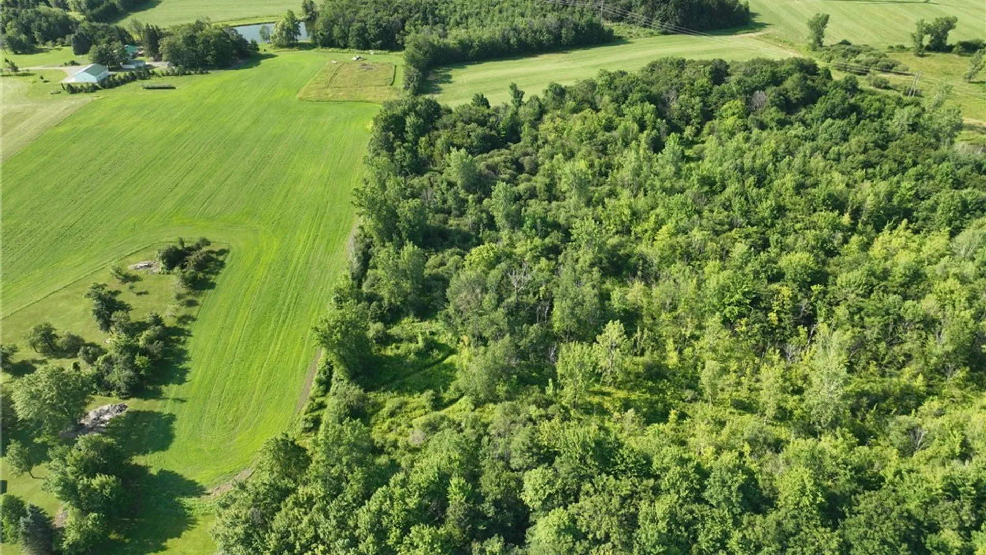 Property at Thomas Road, Sheldon, NY 14167 5
