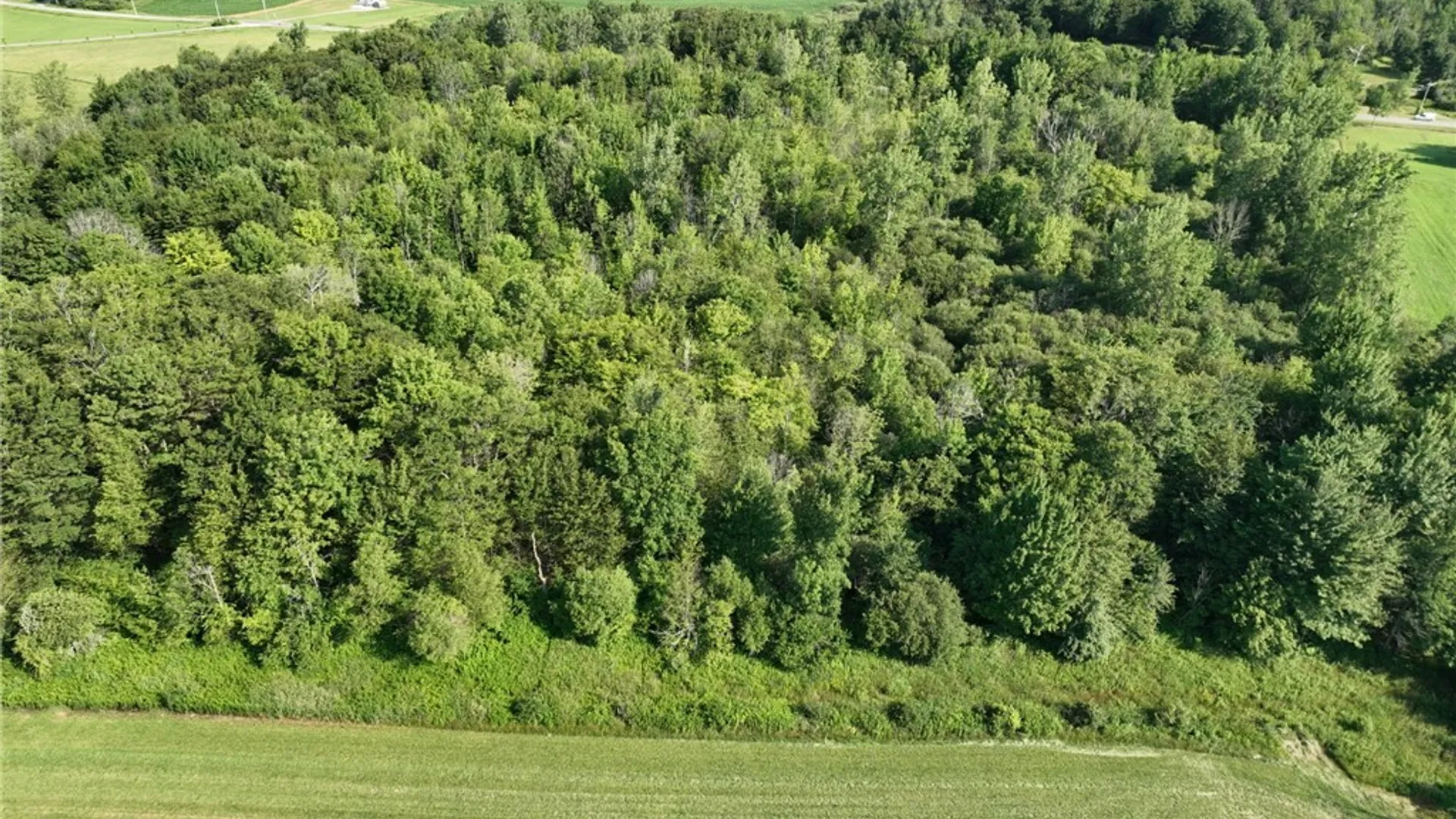 Property at Thomas Road, Sheldon, NY 14167 18