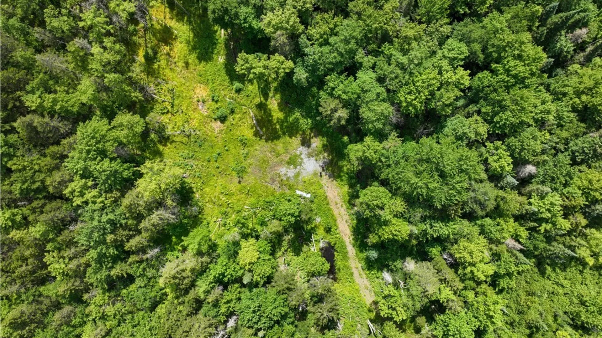 Property at Lot #6 Kirkland Road, Forestport, NY 13338 2