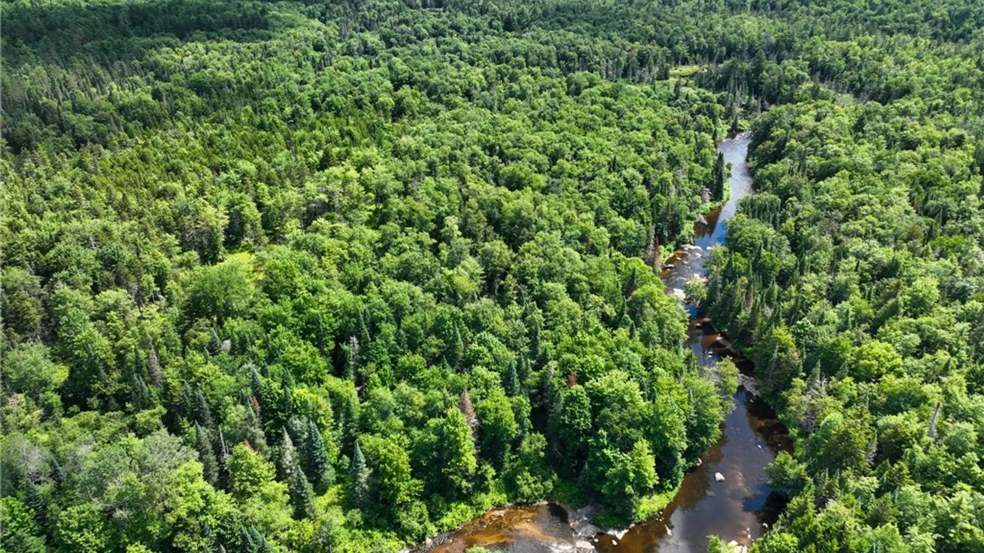 Property at Lot #6 Kirkland Road, Forestport, NY 13338 6