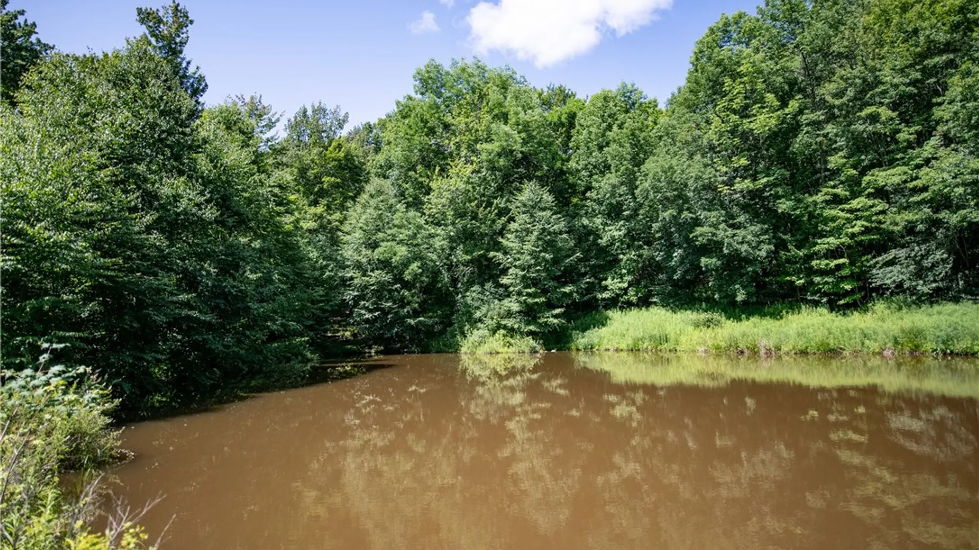 Property at Martha Lane, Bovina, NY 13740 12