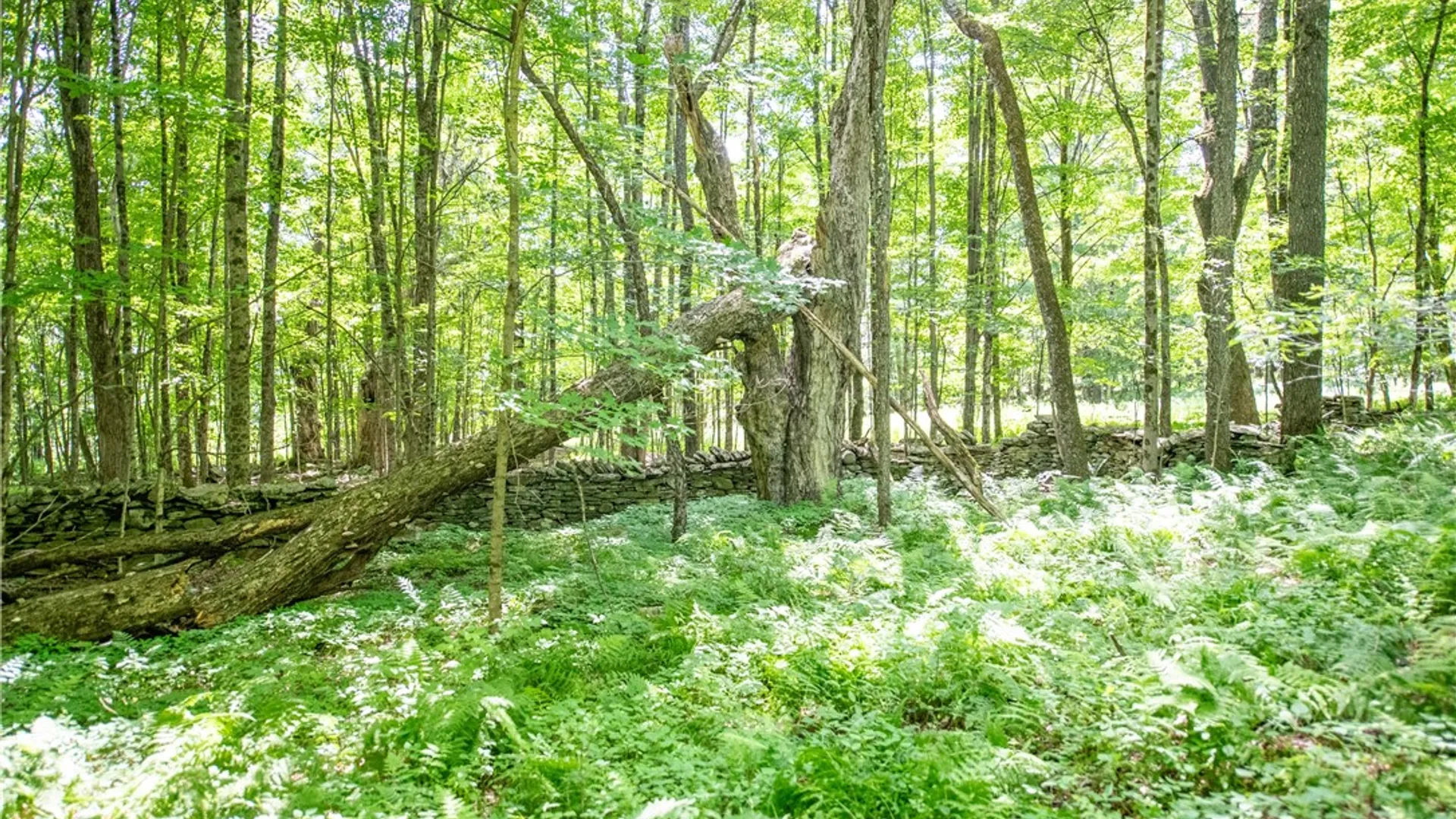Property at Martha Lane, Bovina, NY 13740 13