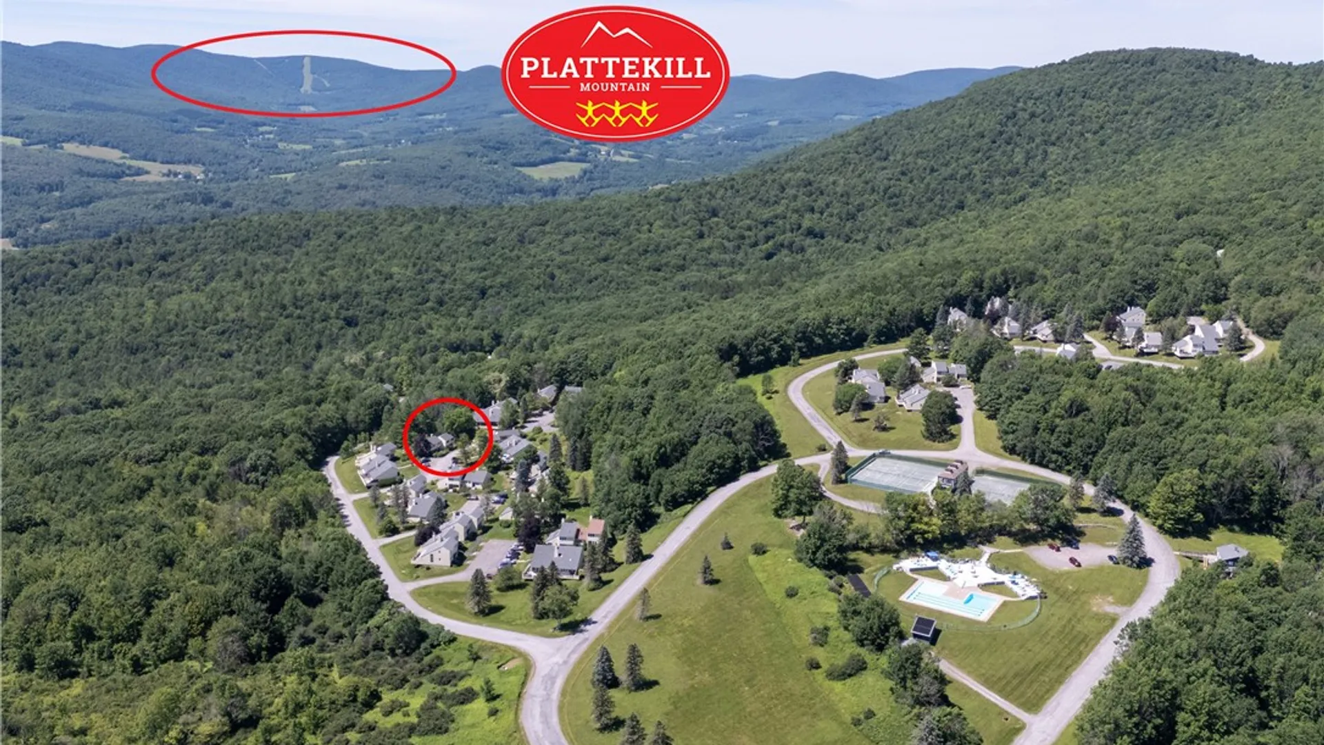 Property at 130 Pines Drive, Roxbury, NY 12421 8