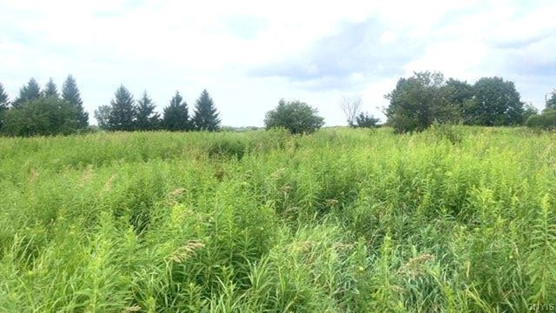 Property at Rockbrook Estates Rd Road, Le Ray, NY 13637 2