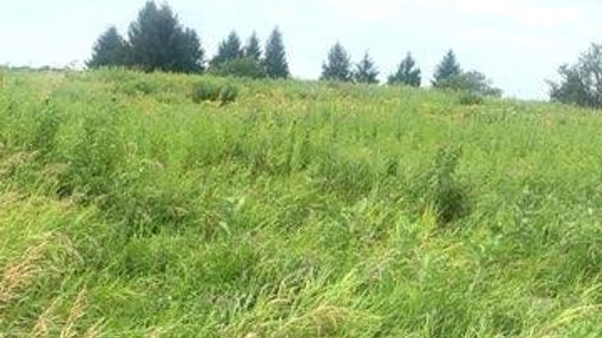 Property at Rockbrook Estates Rd Road, Le Ray, NY 13637 8