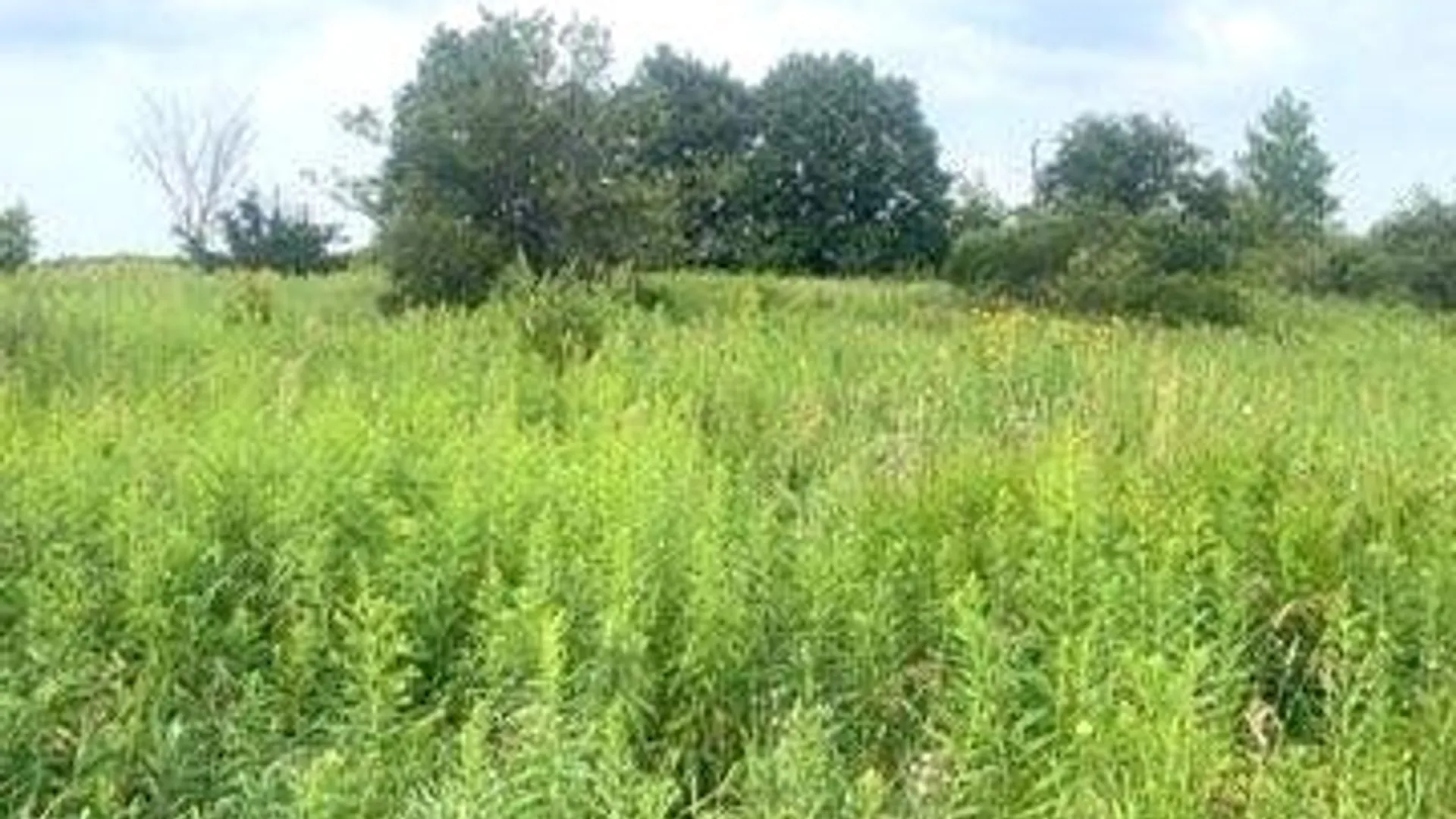 Property at 0 Rockbrook Estates Rd, Le Ray, NY 13637 9