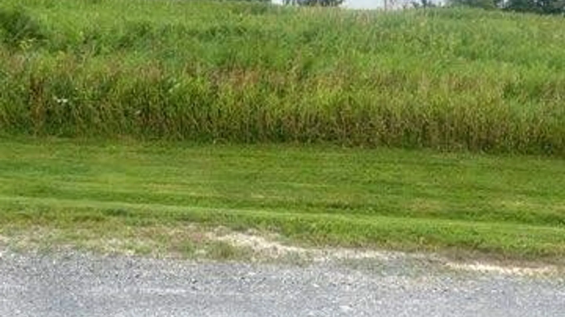 Property at 0 Rockbrook Estates Rd, Le Ray, NY 13637 11