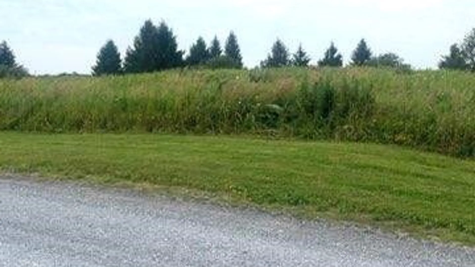 Property at Rockbrook Estates Rd Road, Le Ray, NY 13637 12