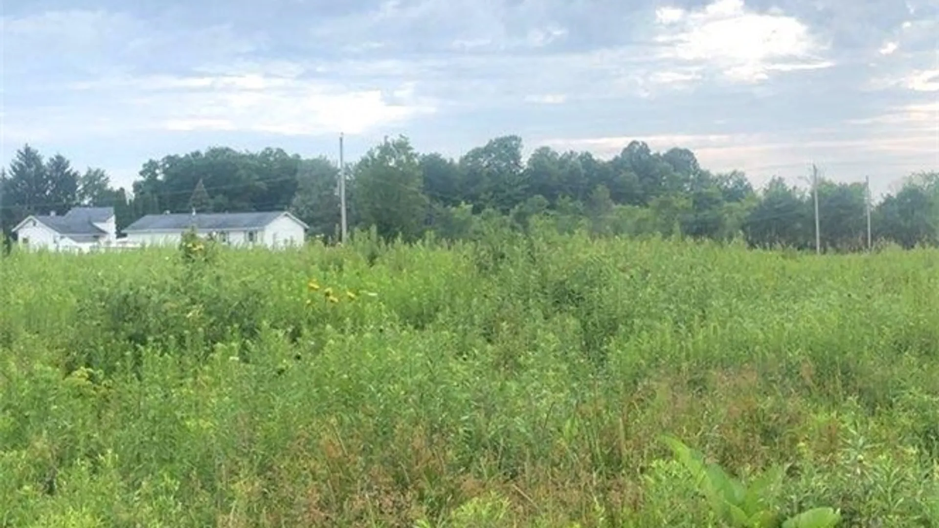 Property at 0 Rockbrook Estates Rd, Le Ray, NY 13637 14