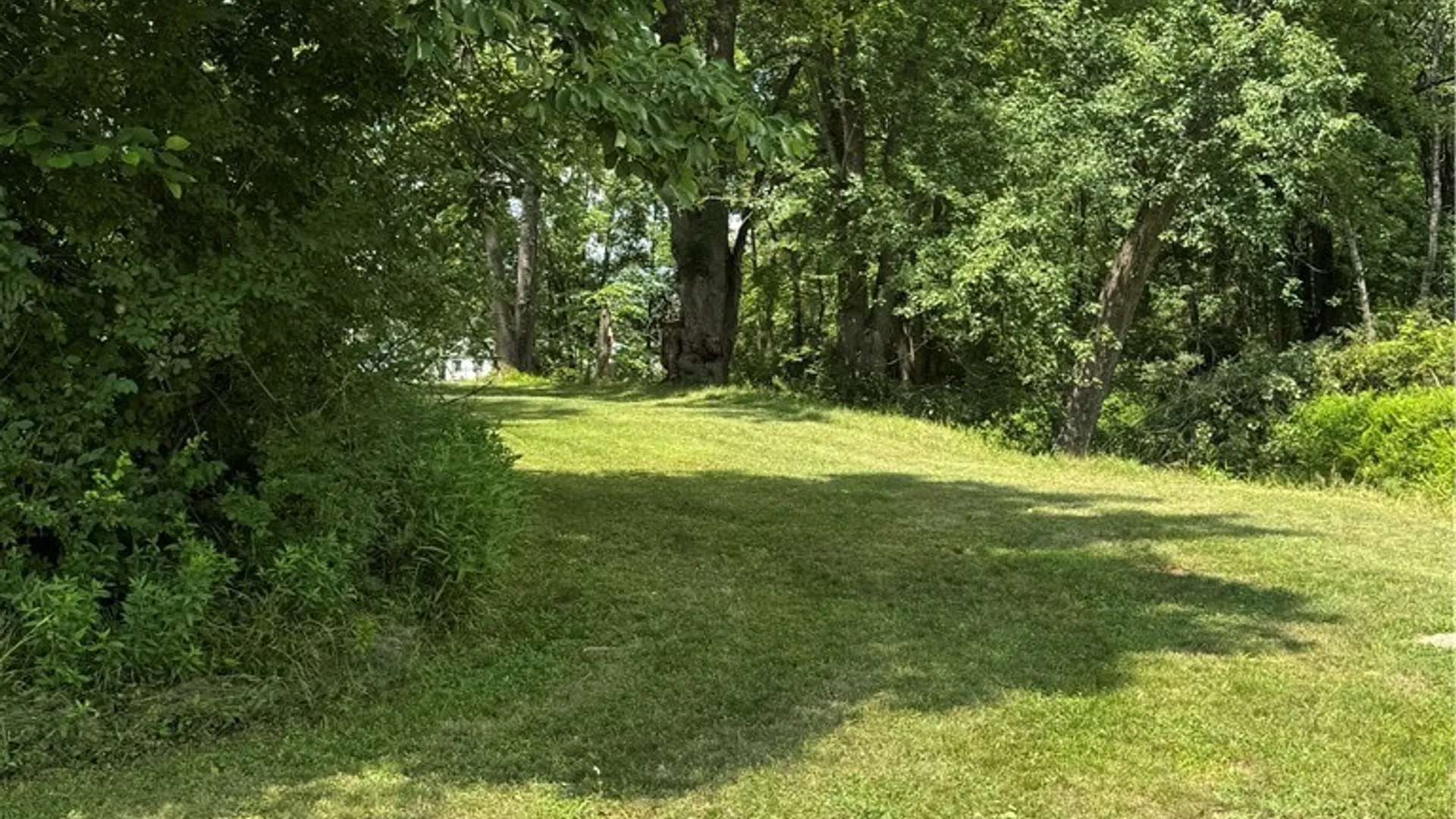 Property at 56 Pine Street, Portville, NY 14770 20