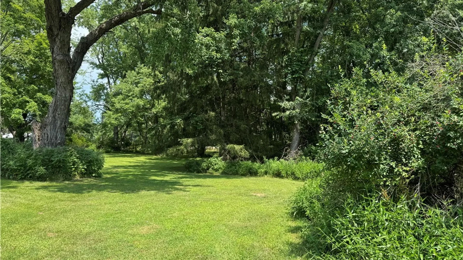 Property at 56 Pine Street, Portville, NY 14770 7