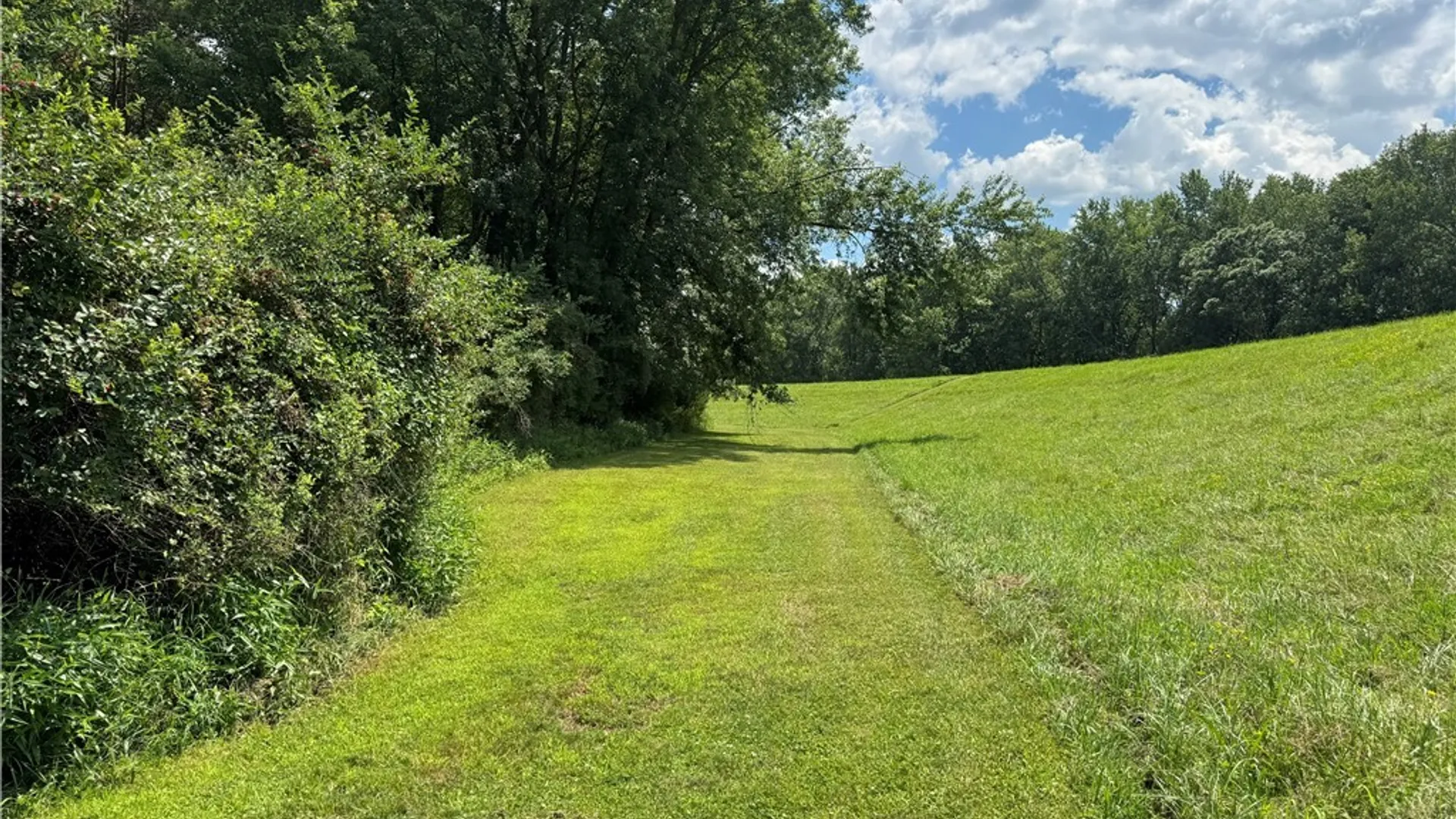 Property at 56 Pine Street, Portville, NY 14770 8