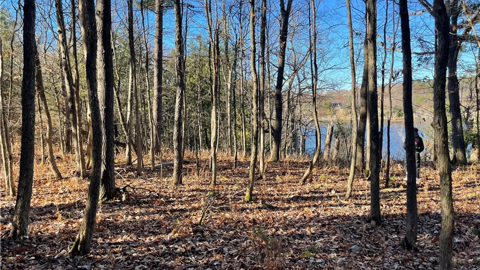 Property at Butterfield, Alexandria, NY 13607 7