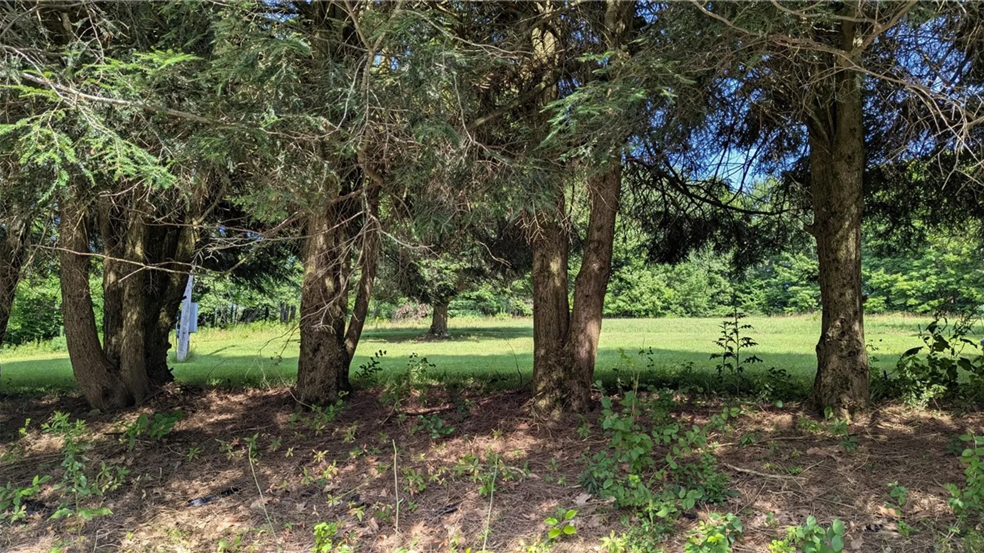 Property at 158 Cross Road, Laurens, NY 13825 11