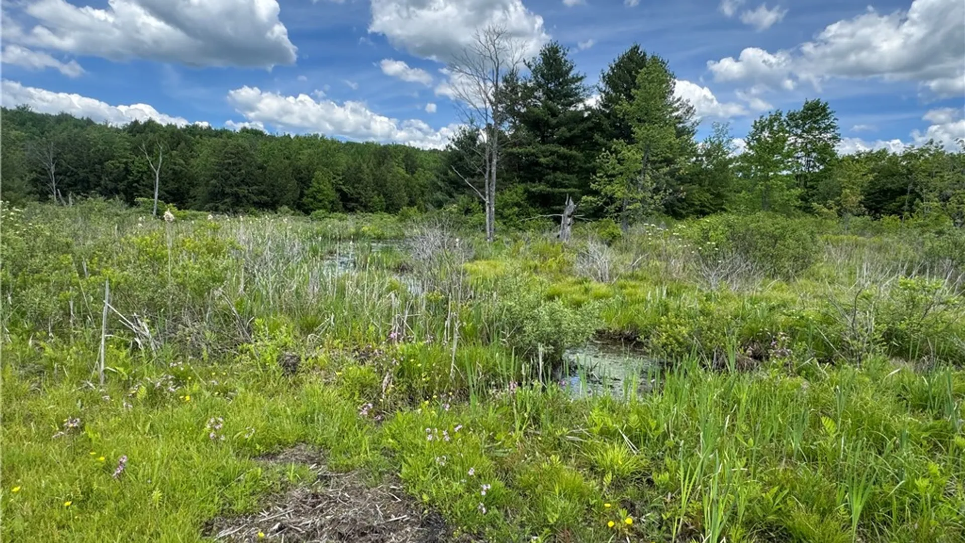 Property at 2295 State Highway 206, Coventry, NY 13778 21