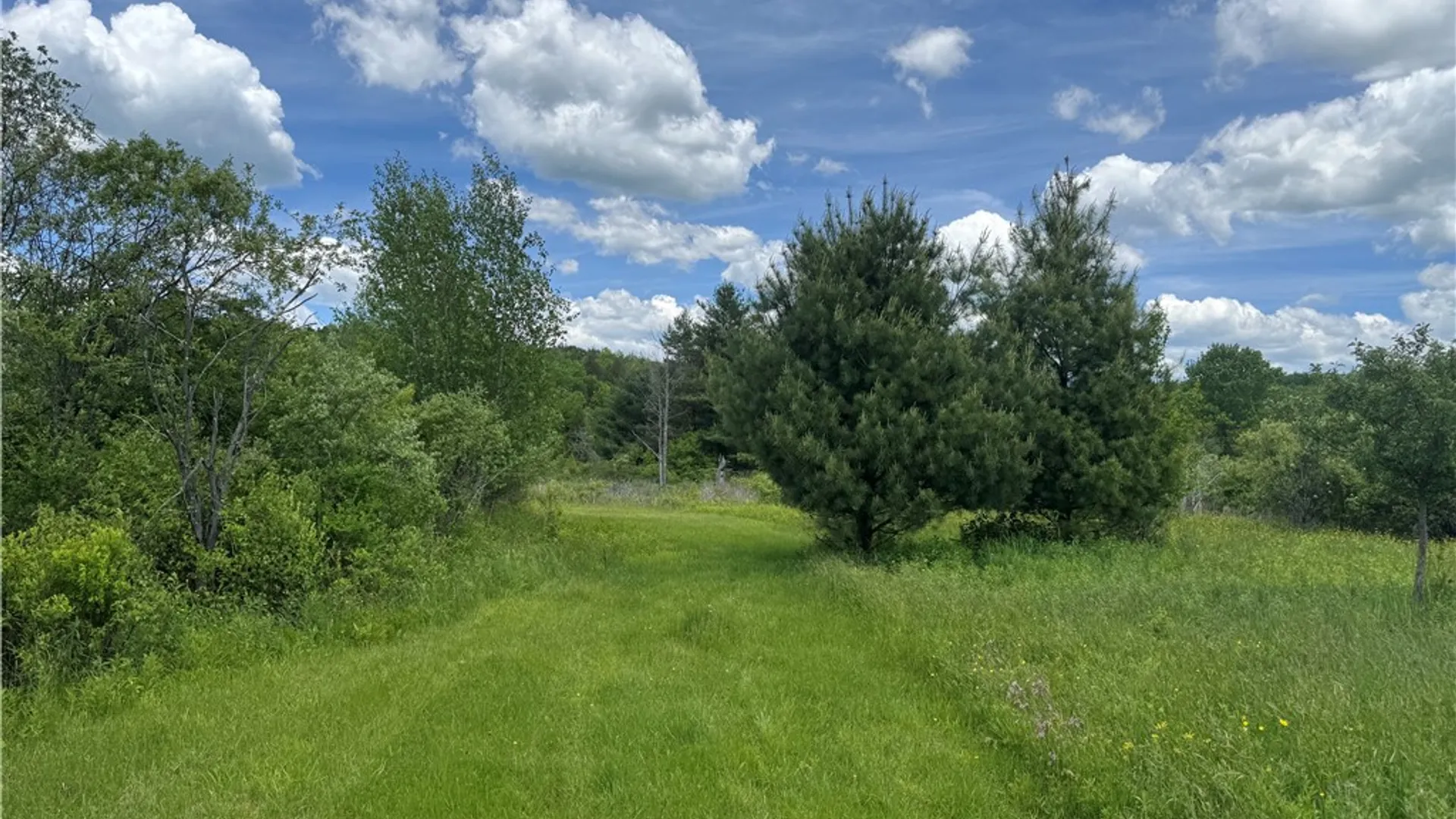 Property at 2295 State Highway 206, Coventry, NY 13778 22
