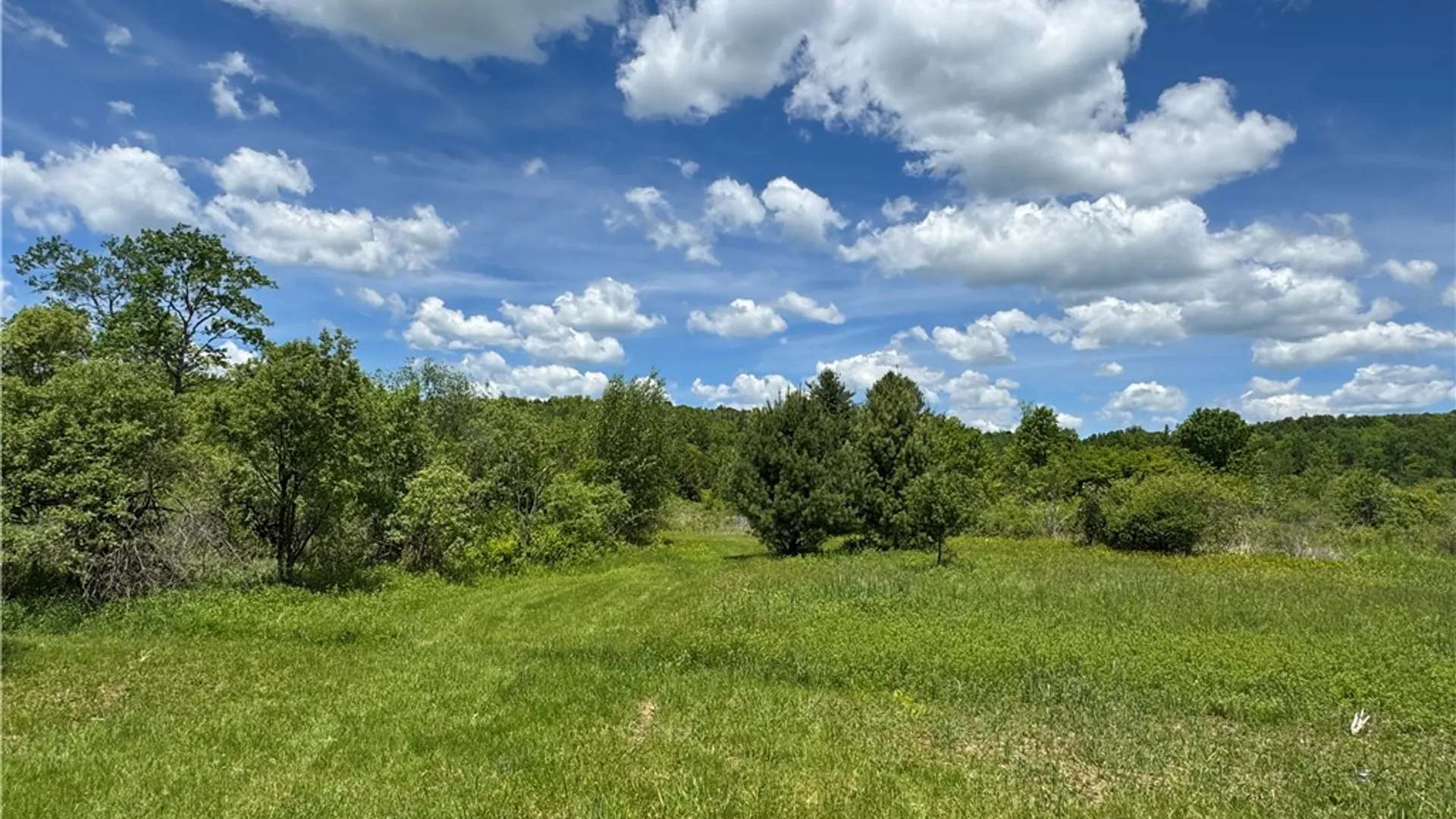 Property at 2295 State Highway 206, Coventry, NY 13778 33
