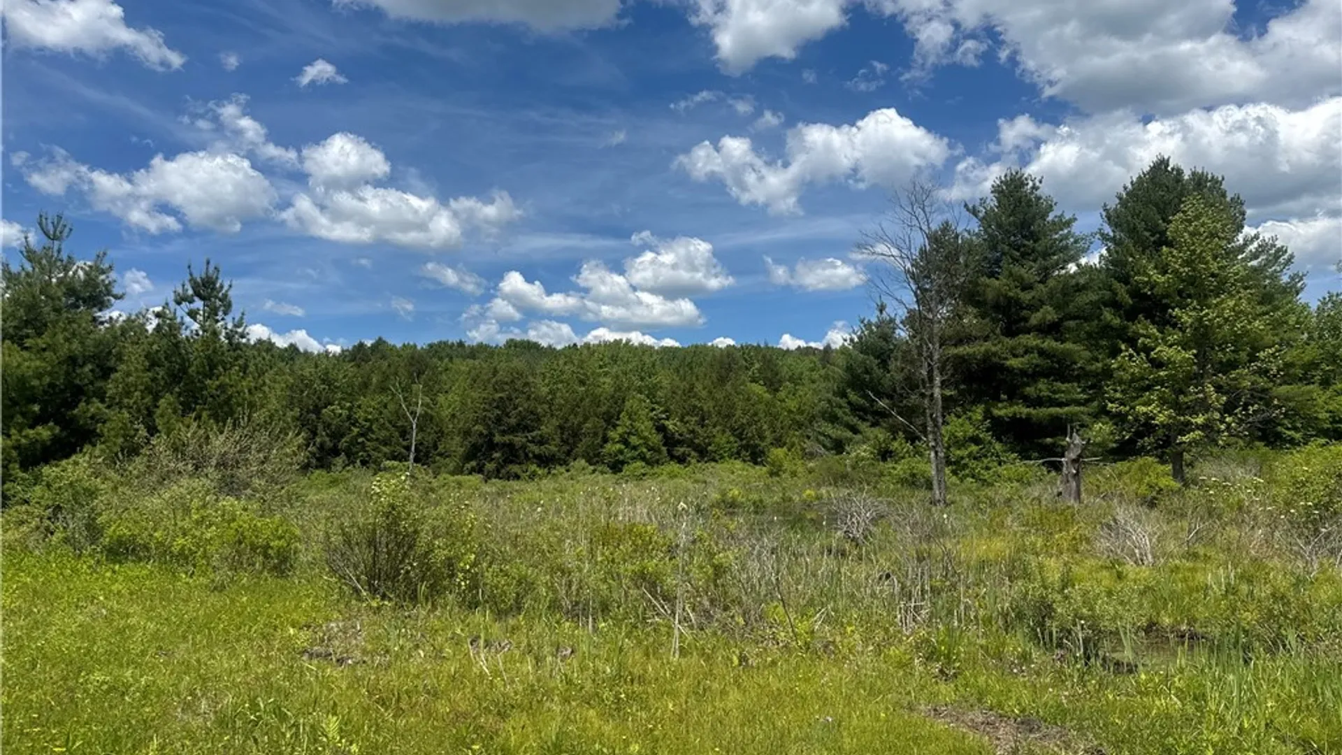 Property at 2295 State Highway 206, Coventry, NY 13778 35