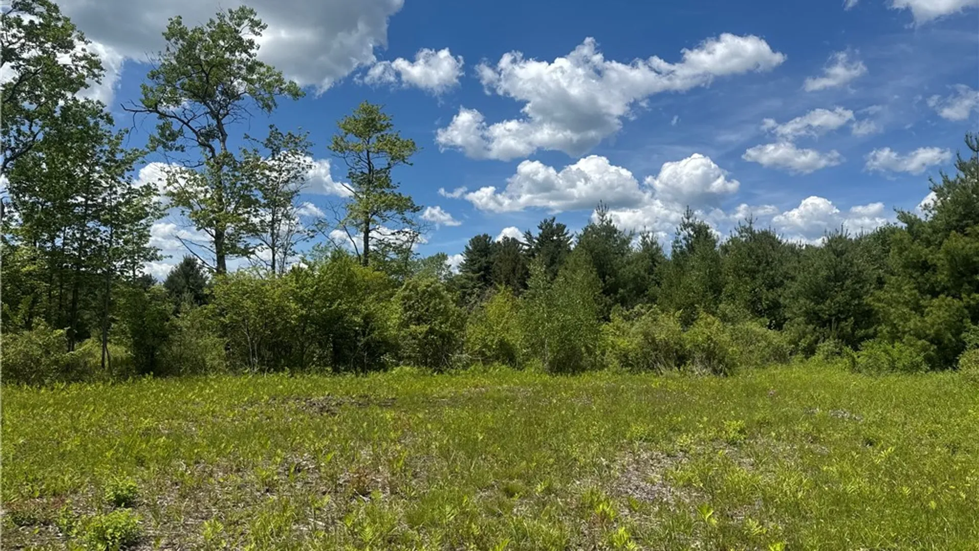 Property at 2295 State Highway 206, Coventry, NY 13778 38