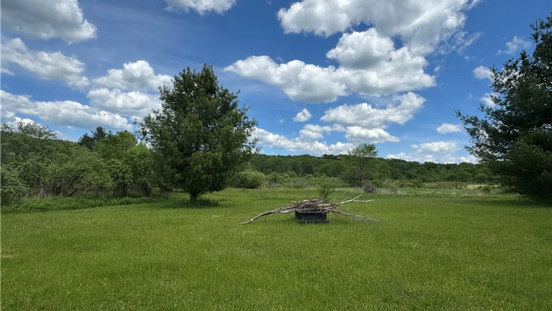 Property at 2295 State Highway 206, Coventry, NY 13778 10