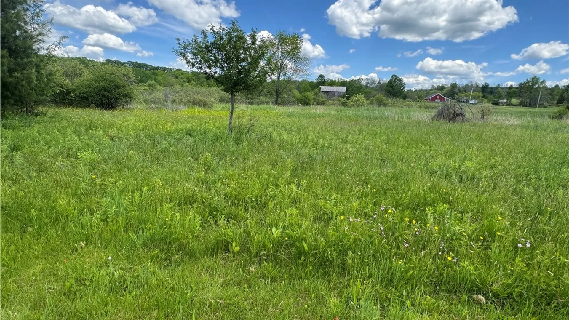 Property at 2295 State Highway 206, Coventry, NY 13778 15