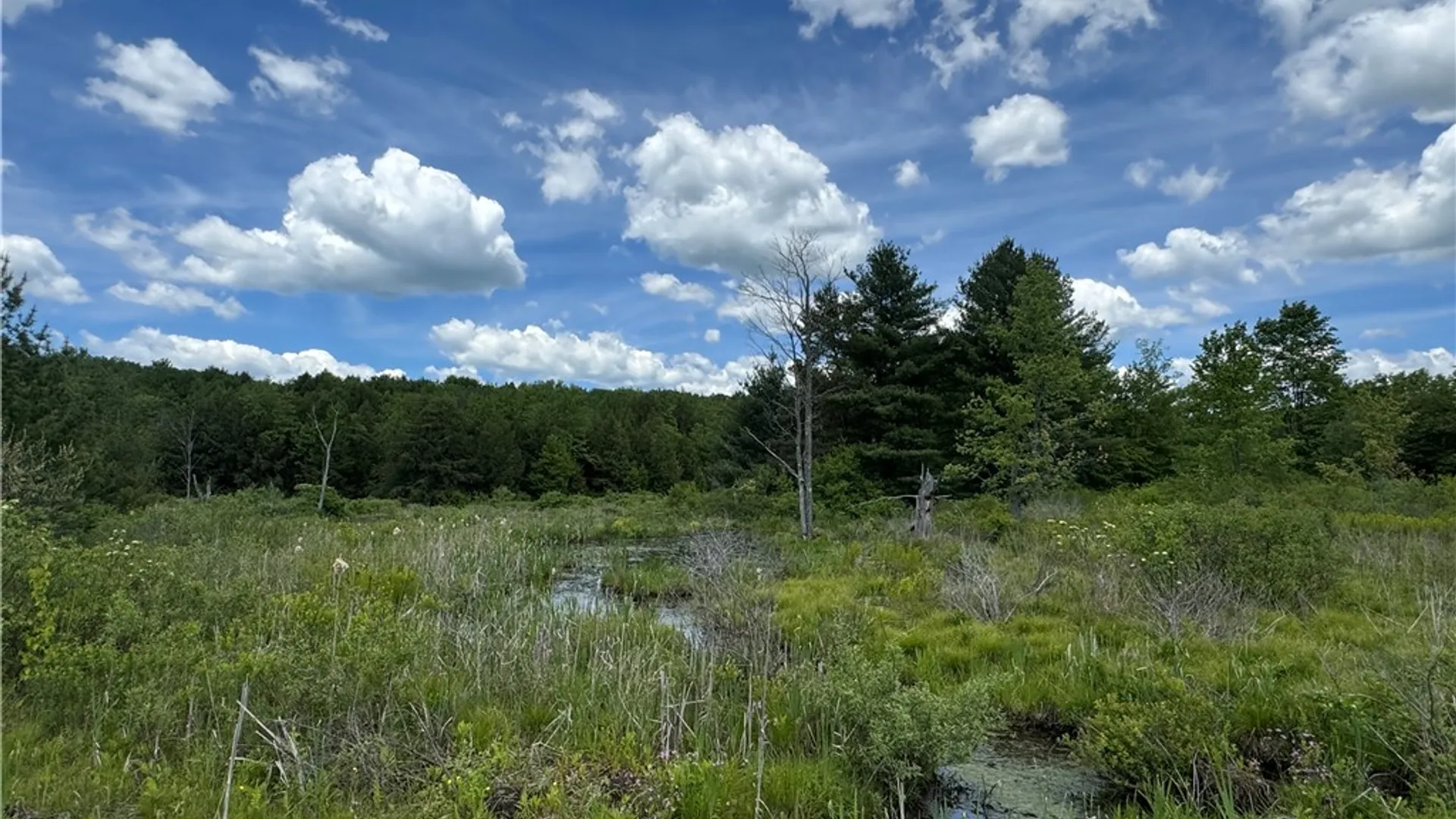 Property at 2295 State Highway 206, Coventry, NY 13778 16