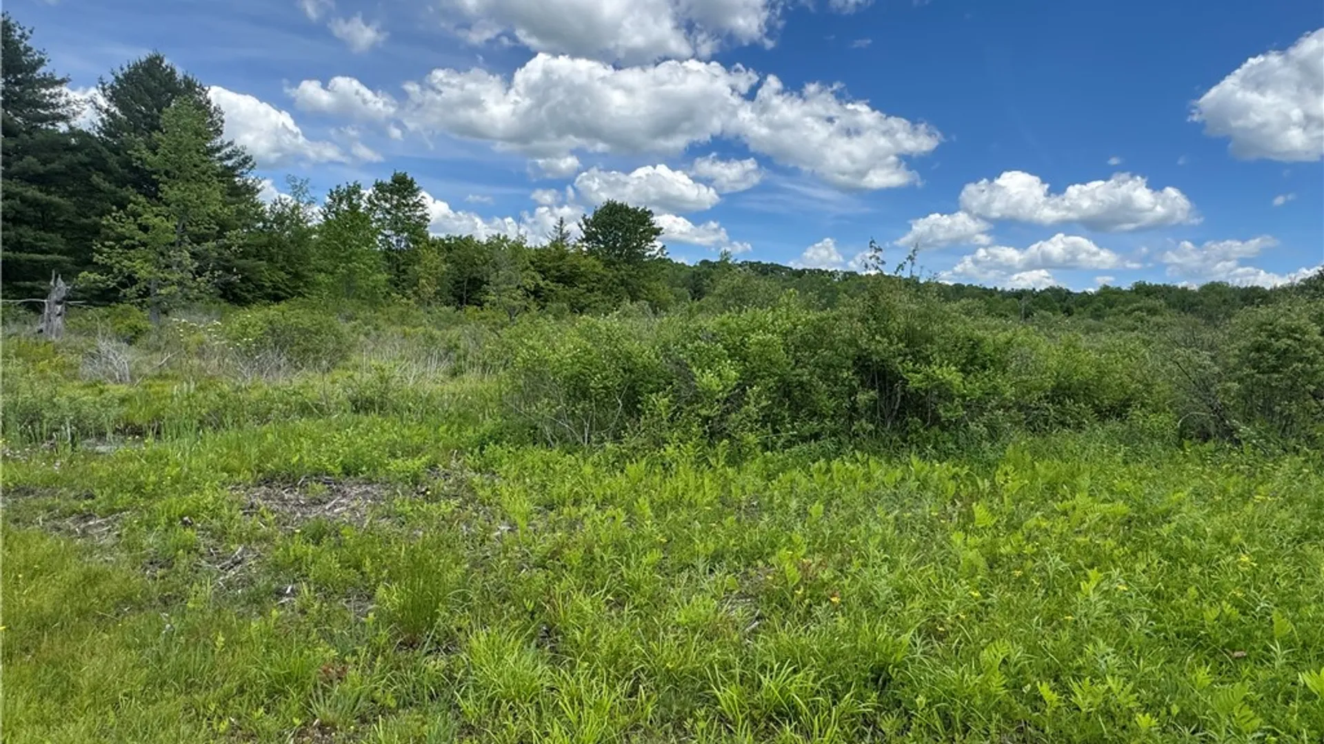 Property at 2295 State Highway 206, Coventry, NY 13778 18