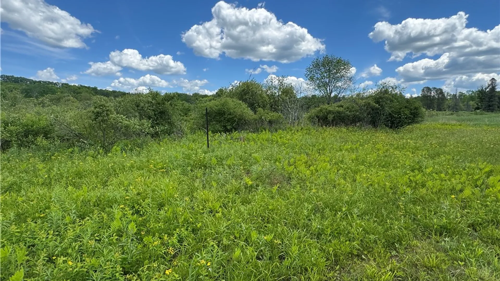 Property at 2295 State Highway 206, Coventry, NY 13778 20