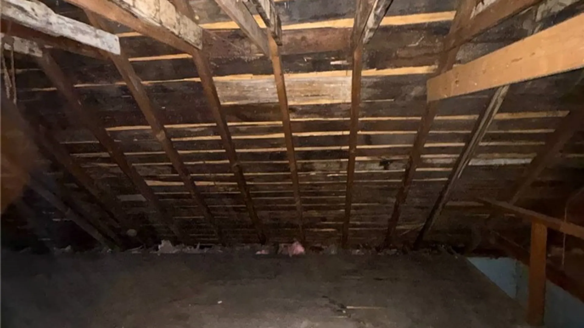 Property at 1421 Burnet Avenue, Syracuse, NY 13206 17