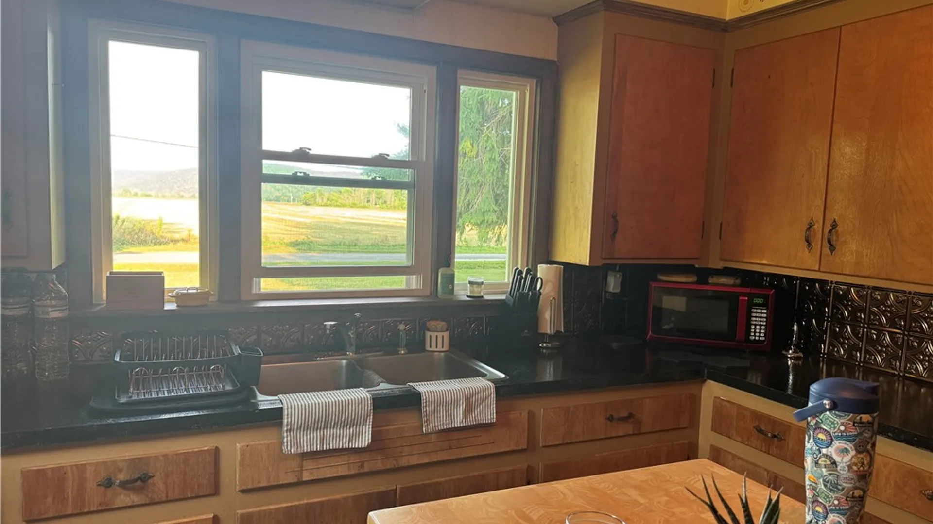 Property at 56 S Railroad Avenue, Spencer, NY 14883 4