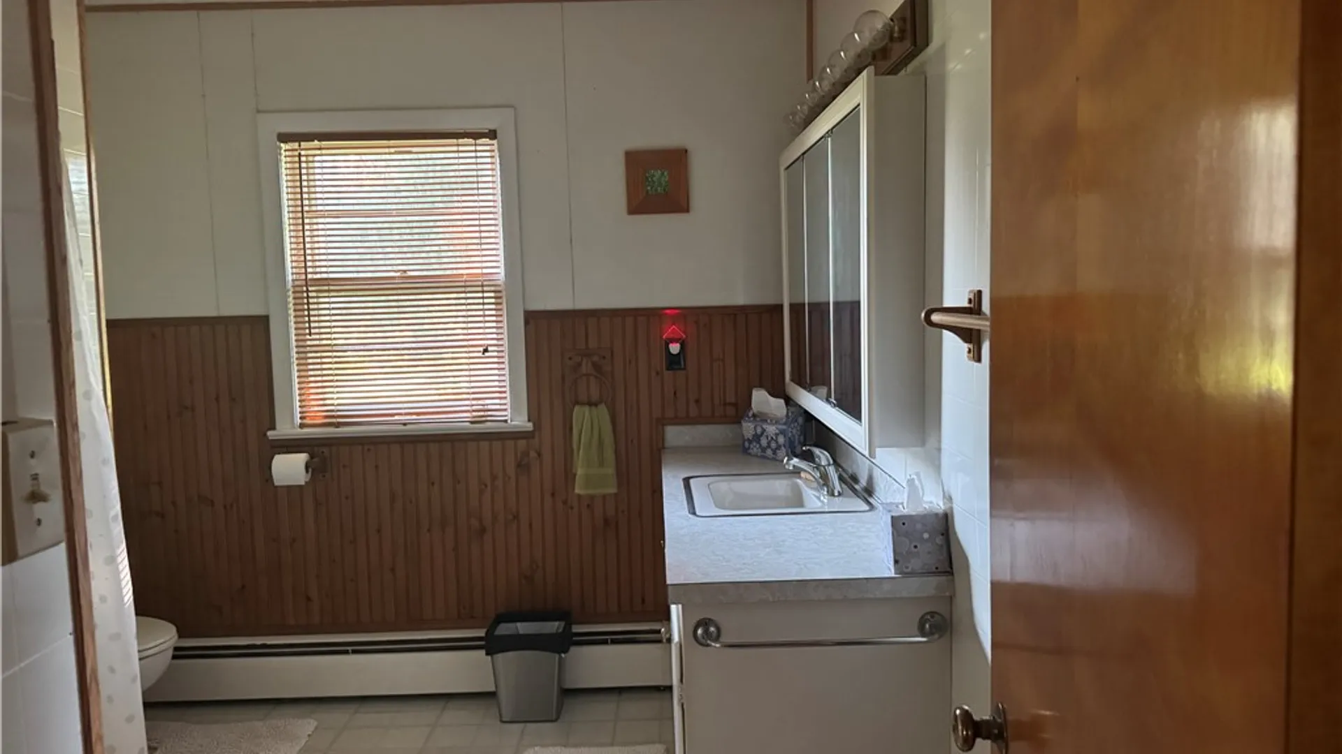 Property at 56 S Railroad Avenue, Spencer, NY 14883 15