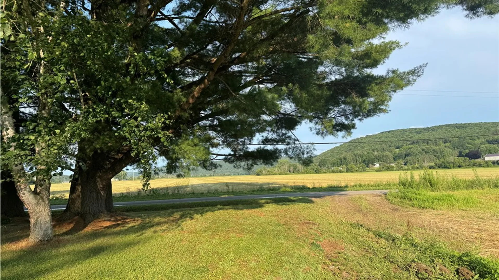 Property at 56 S Railroad Avenue, Spencer, NY 14883 18