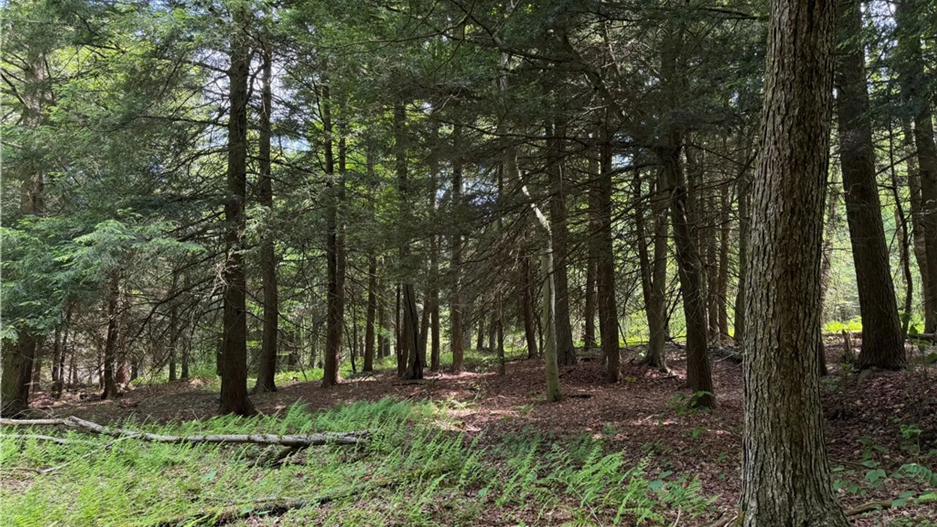 Property at VL 106 Road, Alma, NY 14708 24