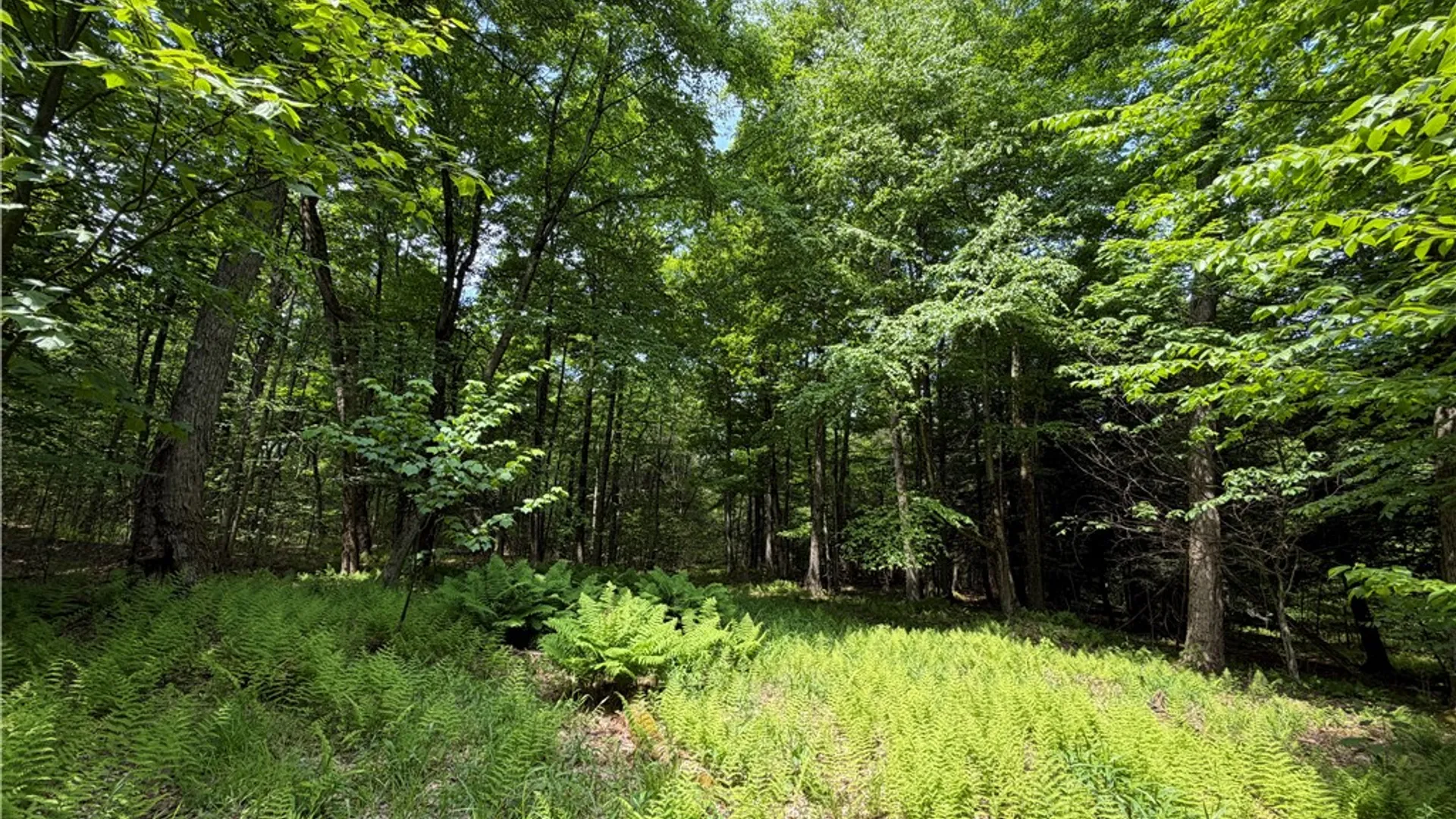 Property at VL 106 Road, Alma, NY 14708 27