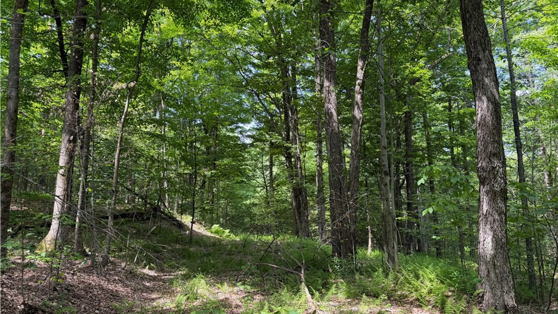 Property at VL 106 Road, Alma, NY 14708 33