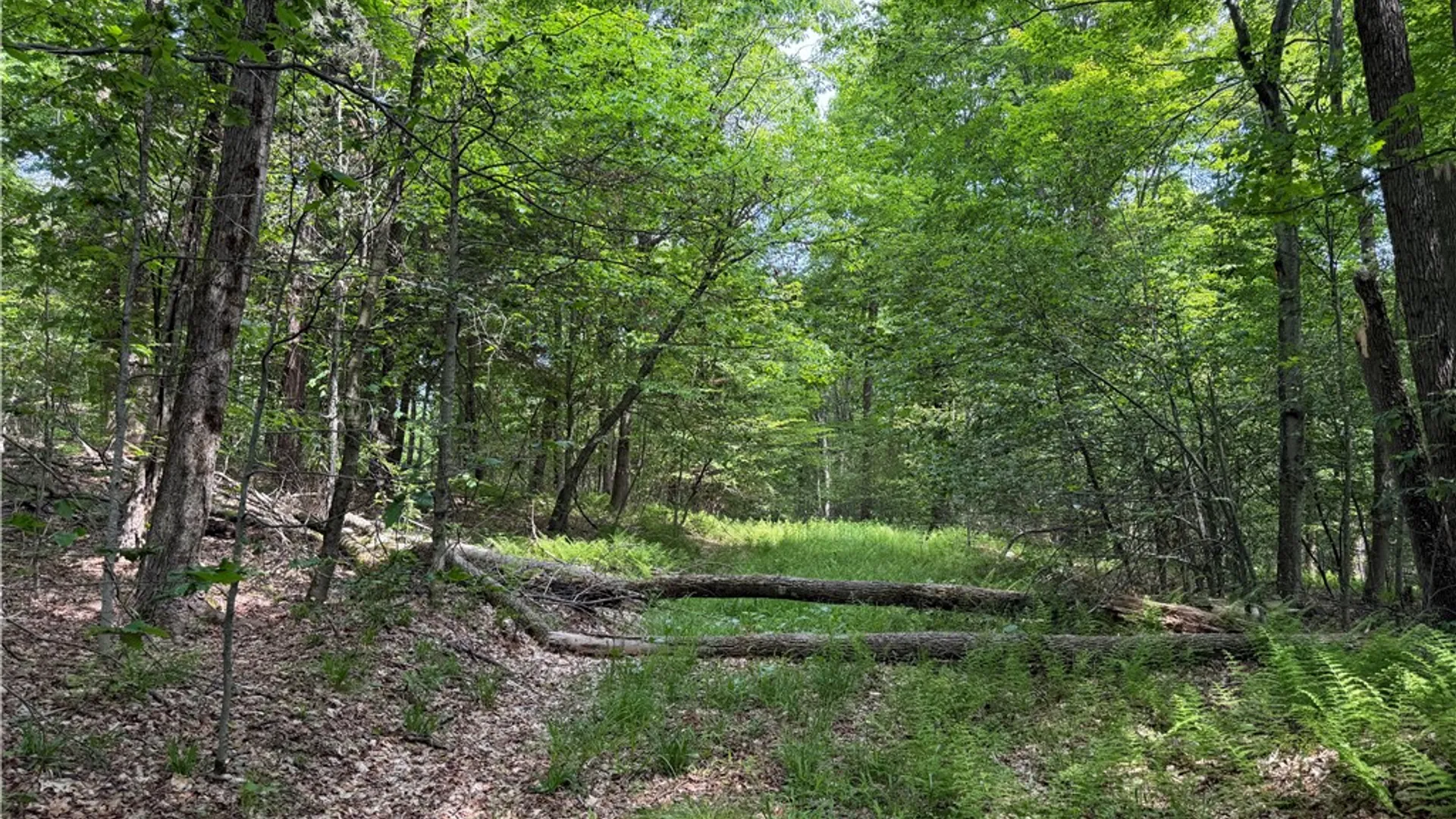 Property at VL 106 Road, Alma, NY 14708 7