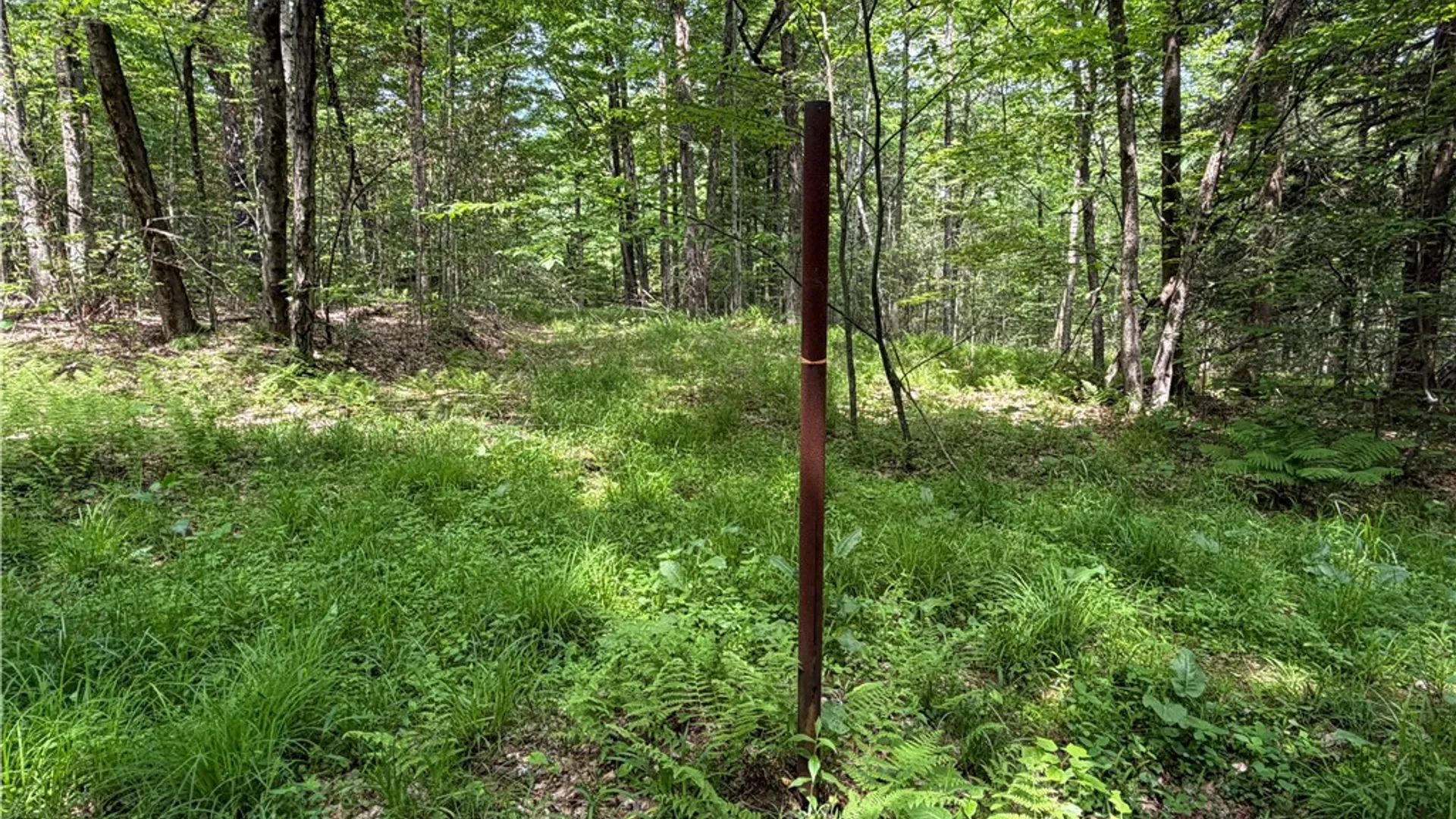 Property at VL 106 Road, Alma, NY 14708 8