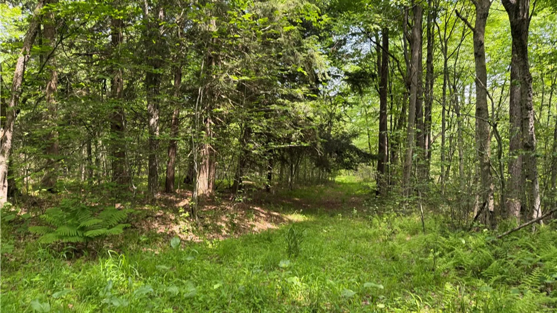 Property at VL 106 Road, Alma, NY 14708 9
